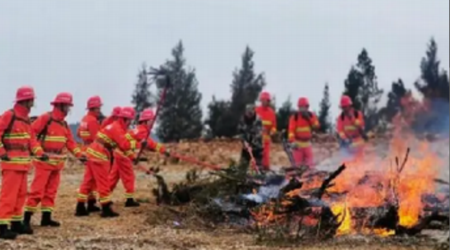 森林消防演练